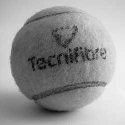 智慧且具有前瞻性的网站攻击软件