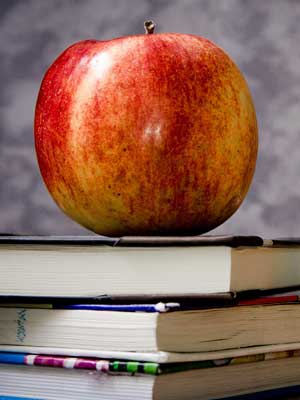 【售后无忧版】保障完善的ddos攻击在哪能买到